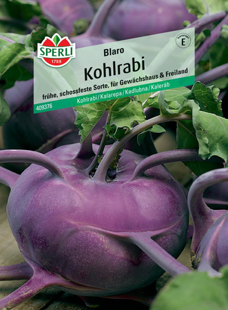 Kalarepa 'Blaro' Nasiona PREMIUM Sperli